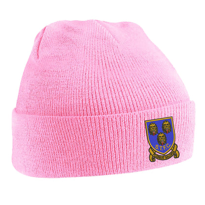 Retro Shrewsbury 1993 Beanie Hat
