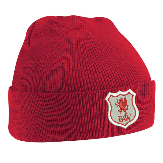 Retro Wales 1926 Beanie Hat