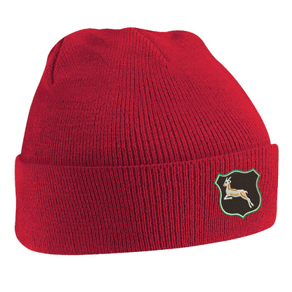 Retro South Africa Rugby Beanie Hat