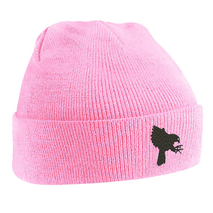 Falcons Beanie Hat