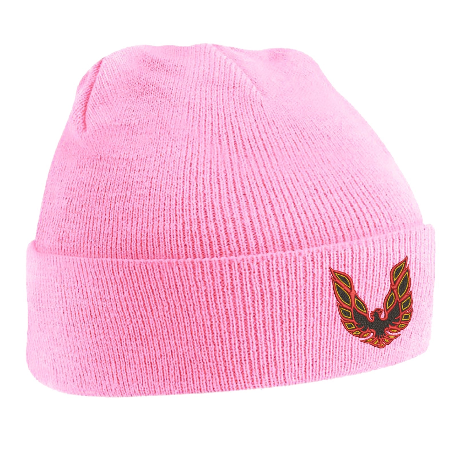 Pontiac Firebird Beanie Hat