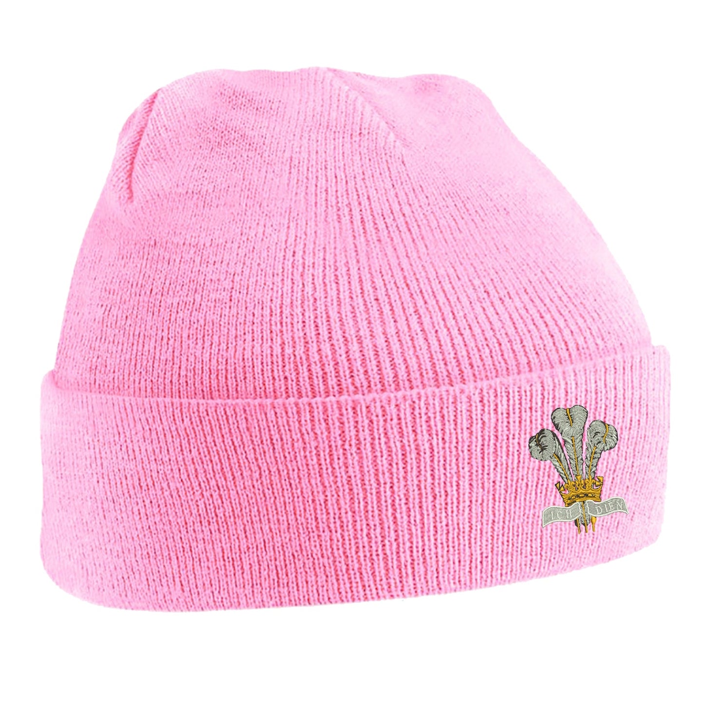 Royal Regiment of Wales Beanie Hat