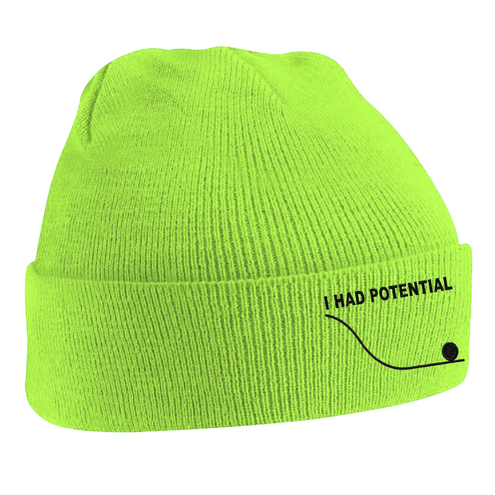I Had Potential Beanie Hat 