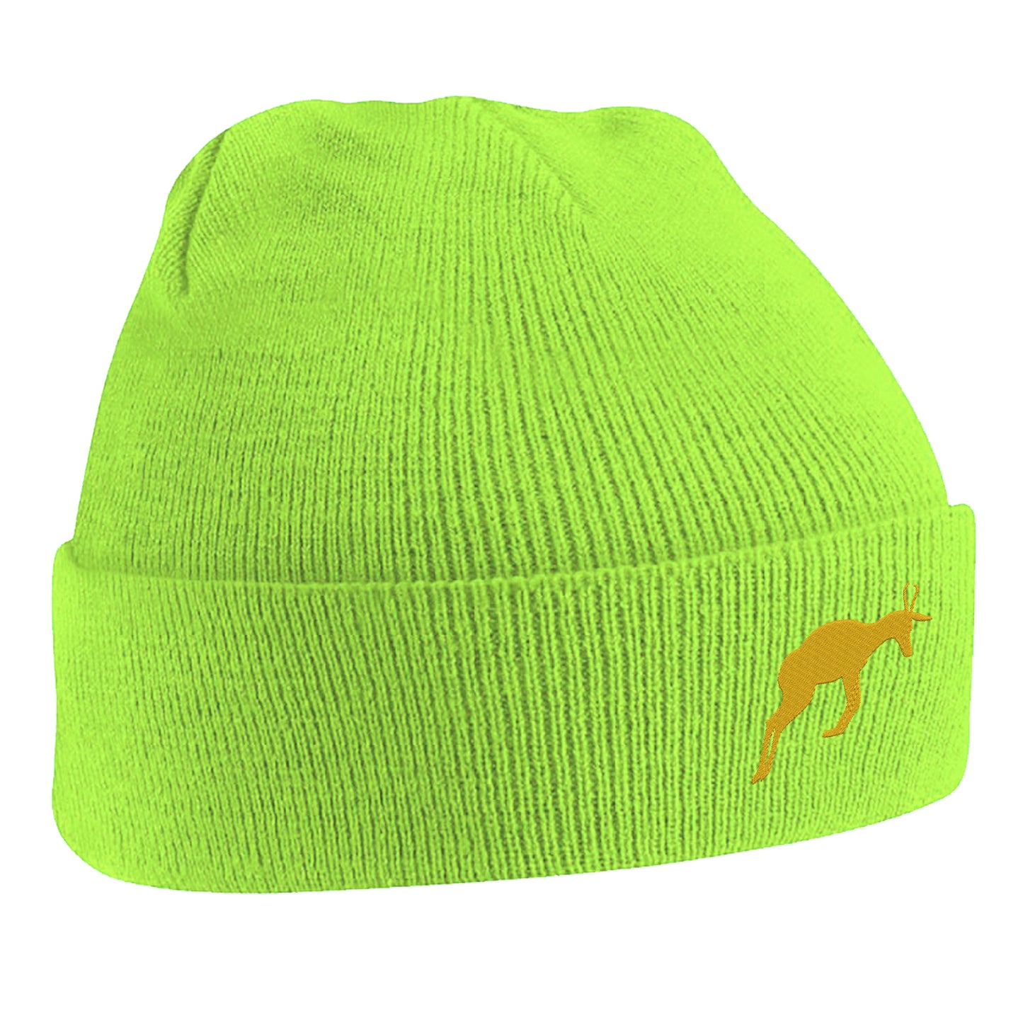 Retro South Africa Rugby 1906 Beanie Hat