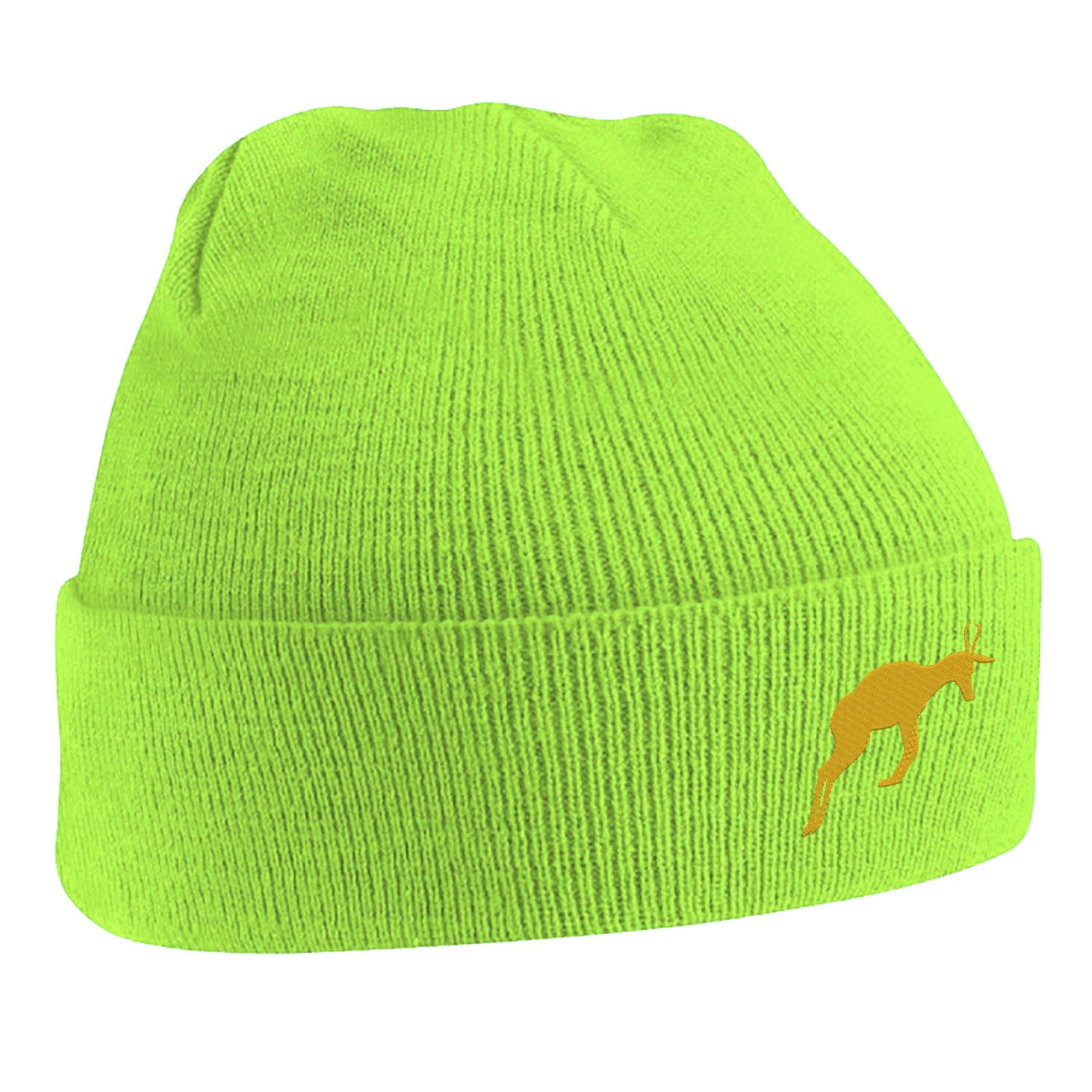 Retro South Africa Rugby 1906 Beanie Hat