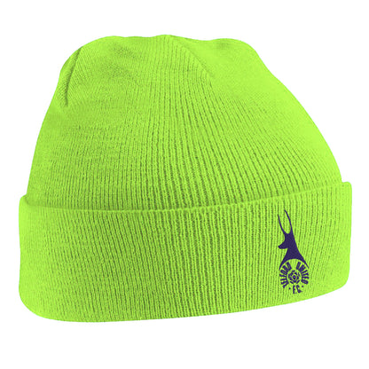 Retro Telford Beanie Hat