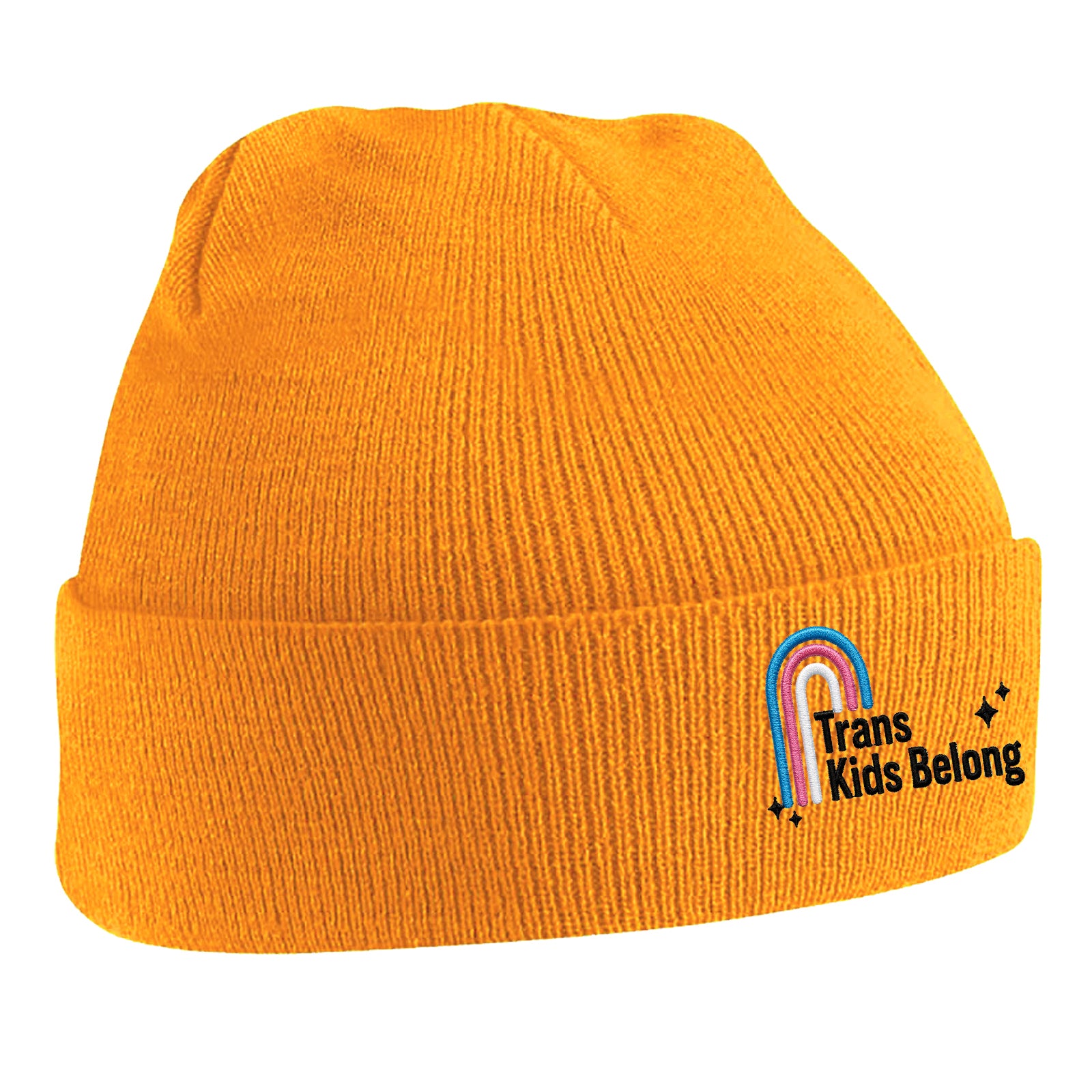 Trans Kids Belong Beanie Hat
