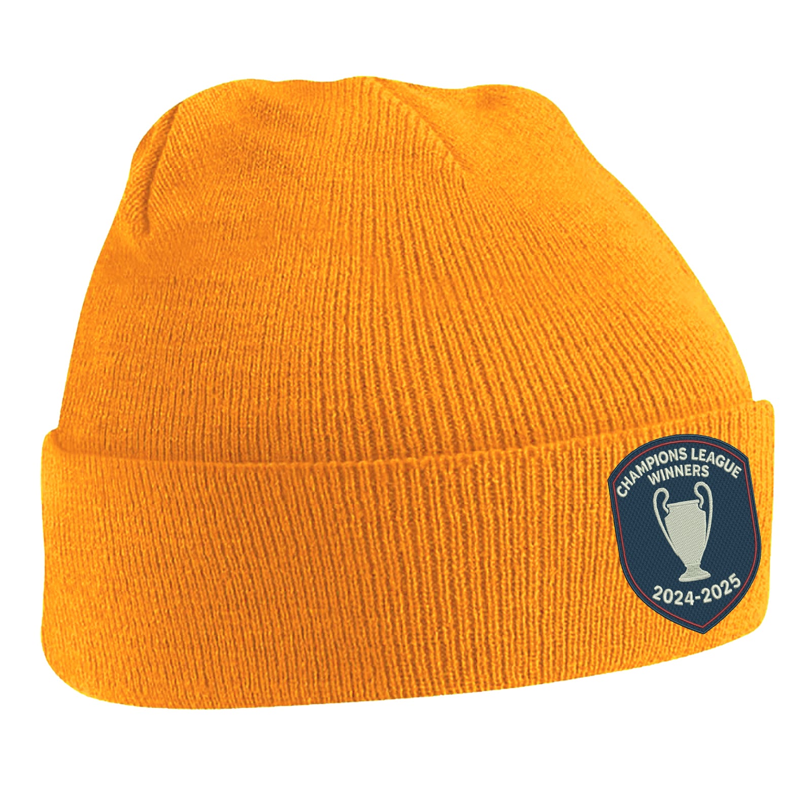 Champions League Winners Beanie Hat