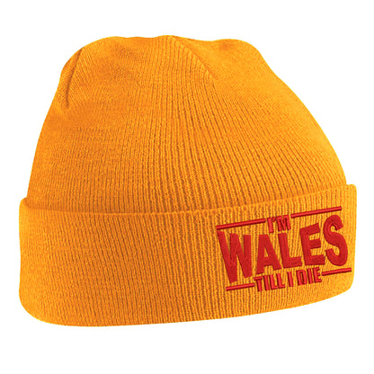 I’m Wales Till I Die Embroidered Beanie Hat