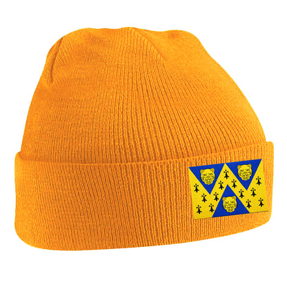 Flag of Shropshire Beanie Hat