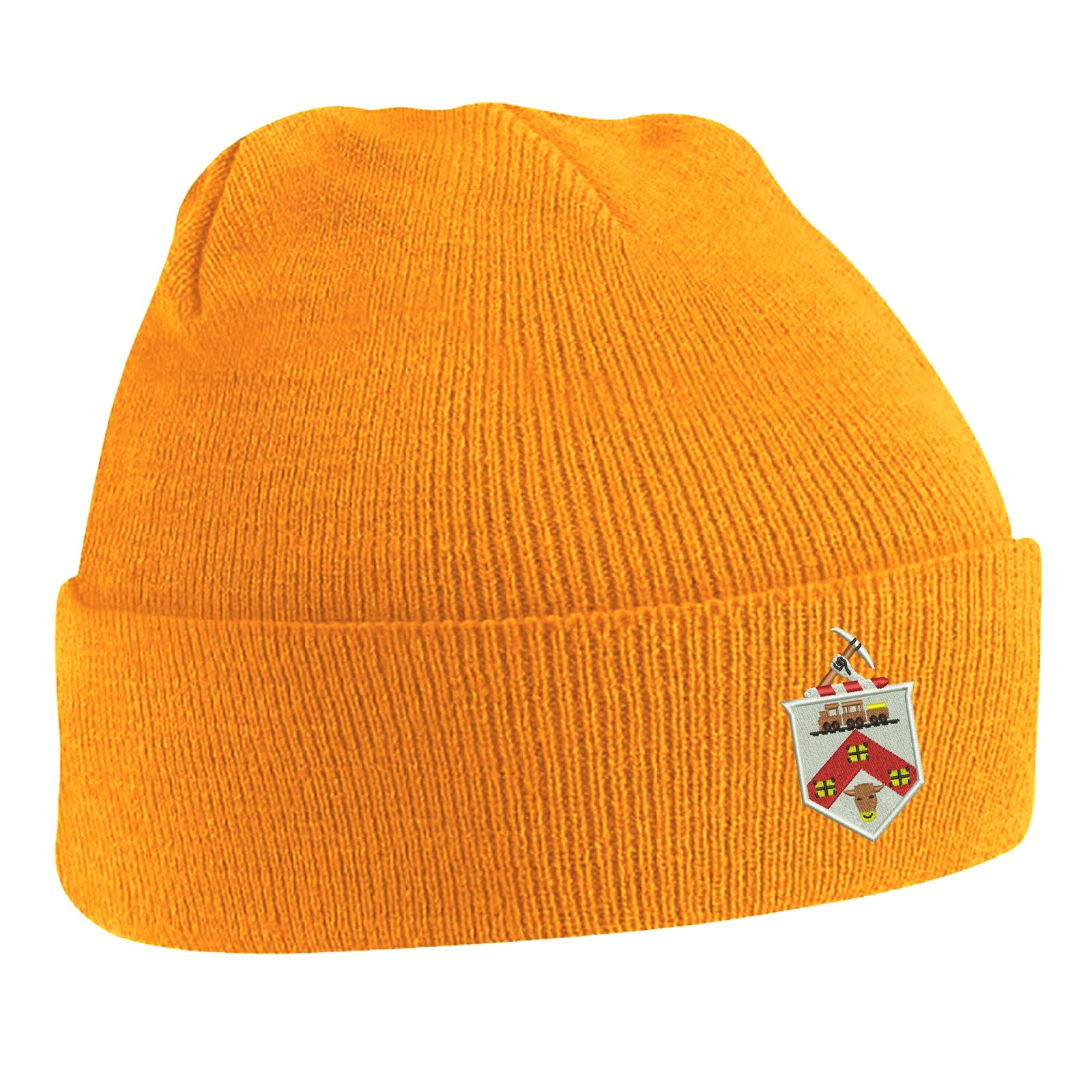 Darlington 1954 Beanie Hat