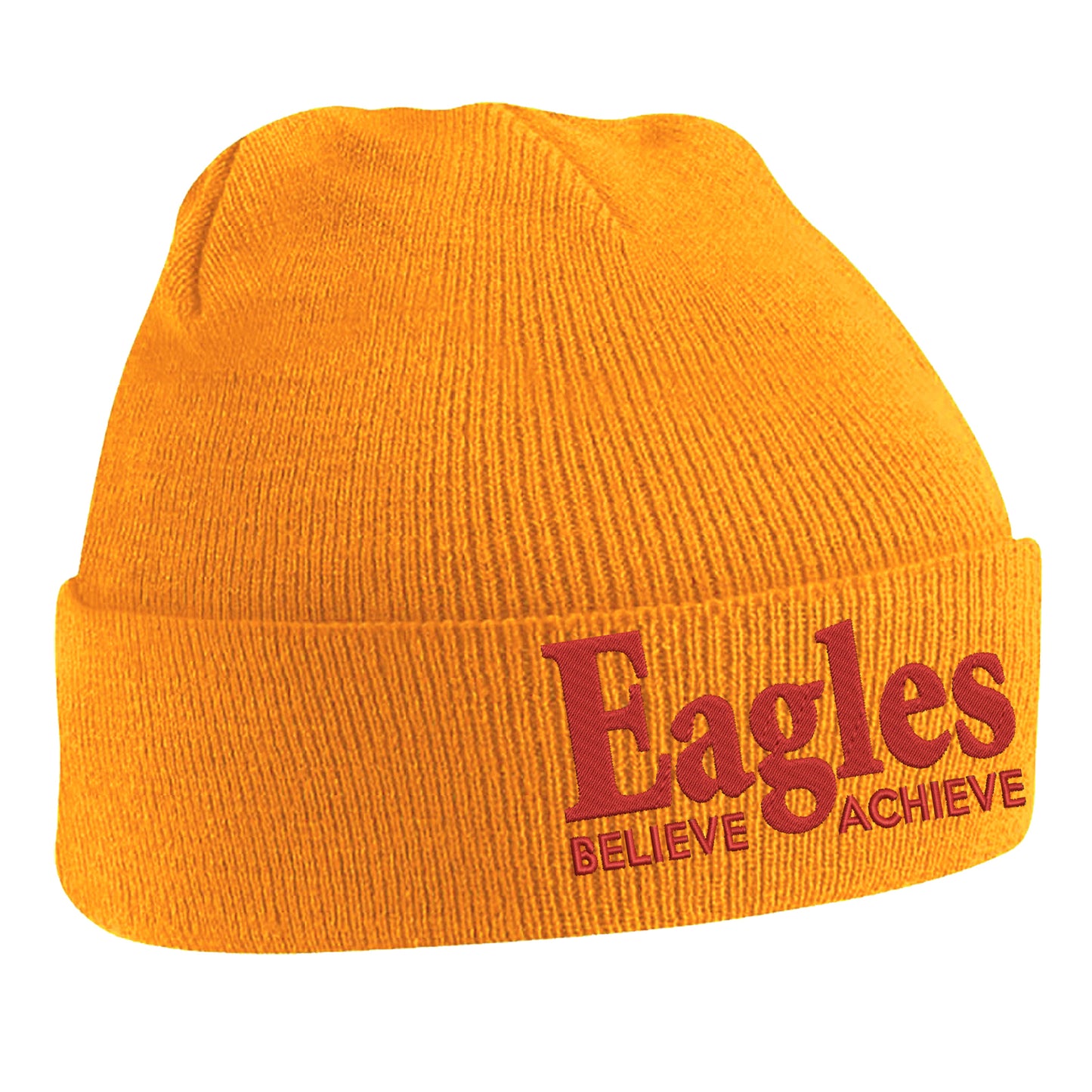 Crystal Palace Soccer Beanie Hat 