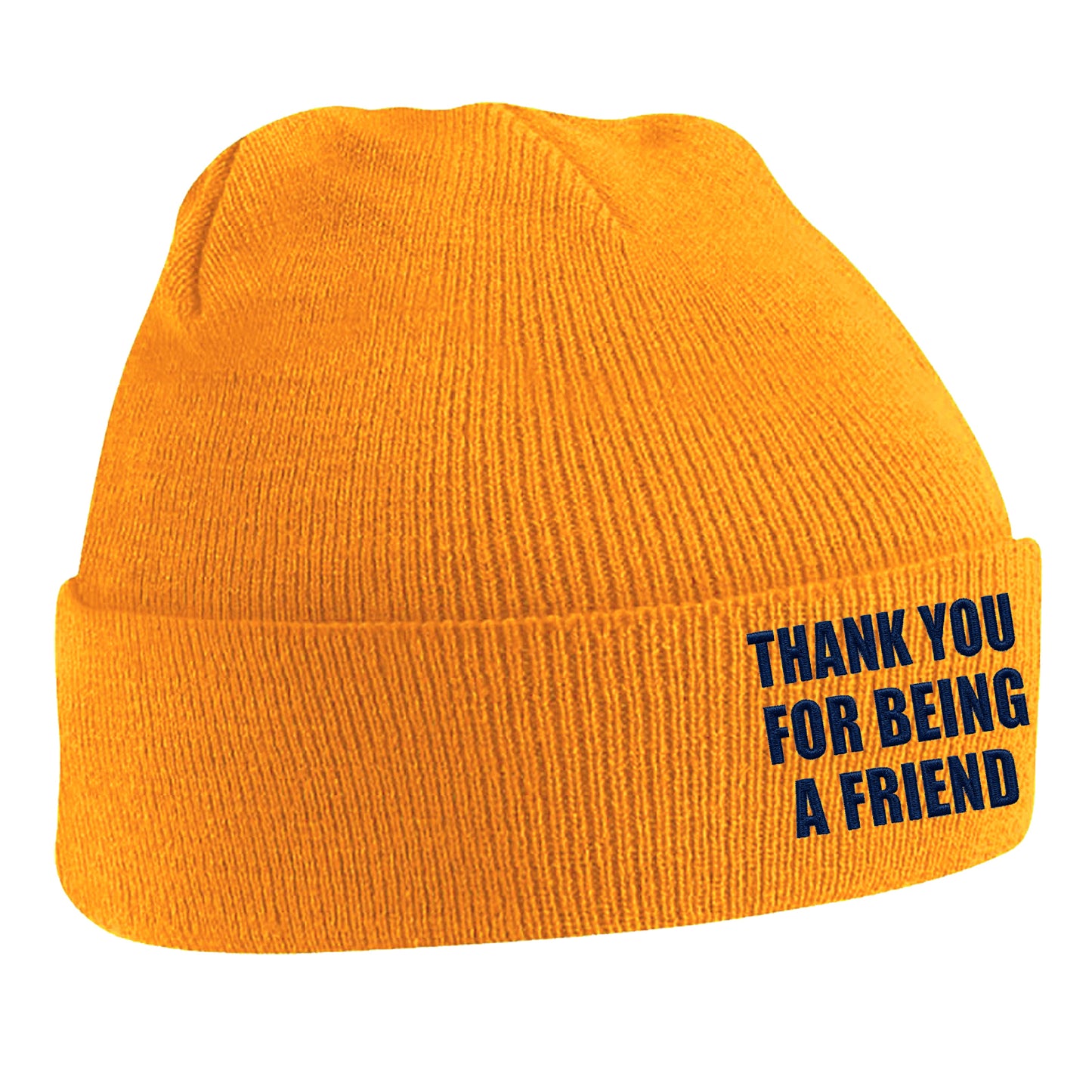 Thank You for Being a Friend Beanie Hat