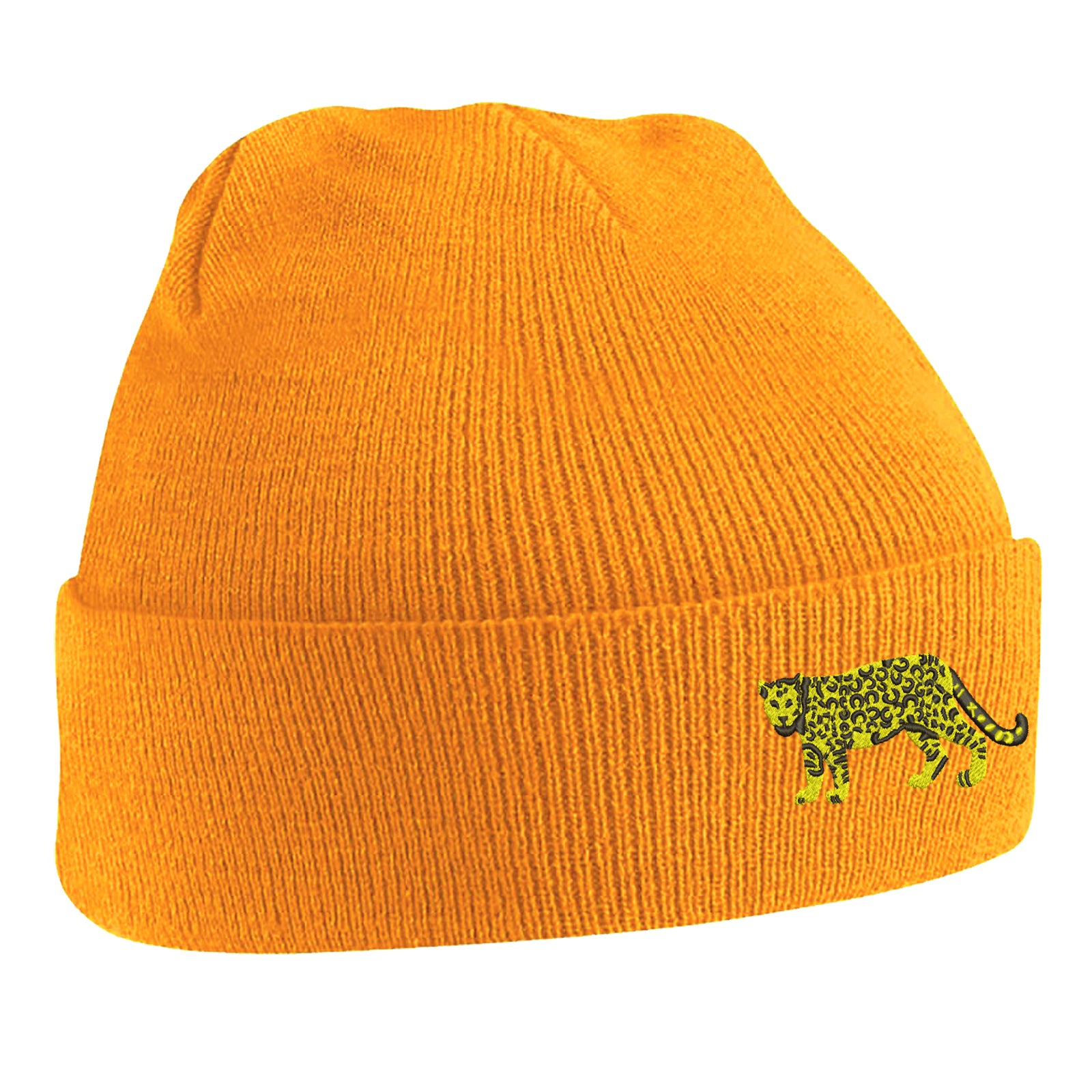 Retro Argentina 1976 Beanie Hat