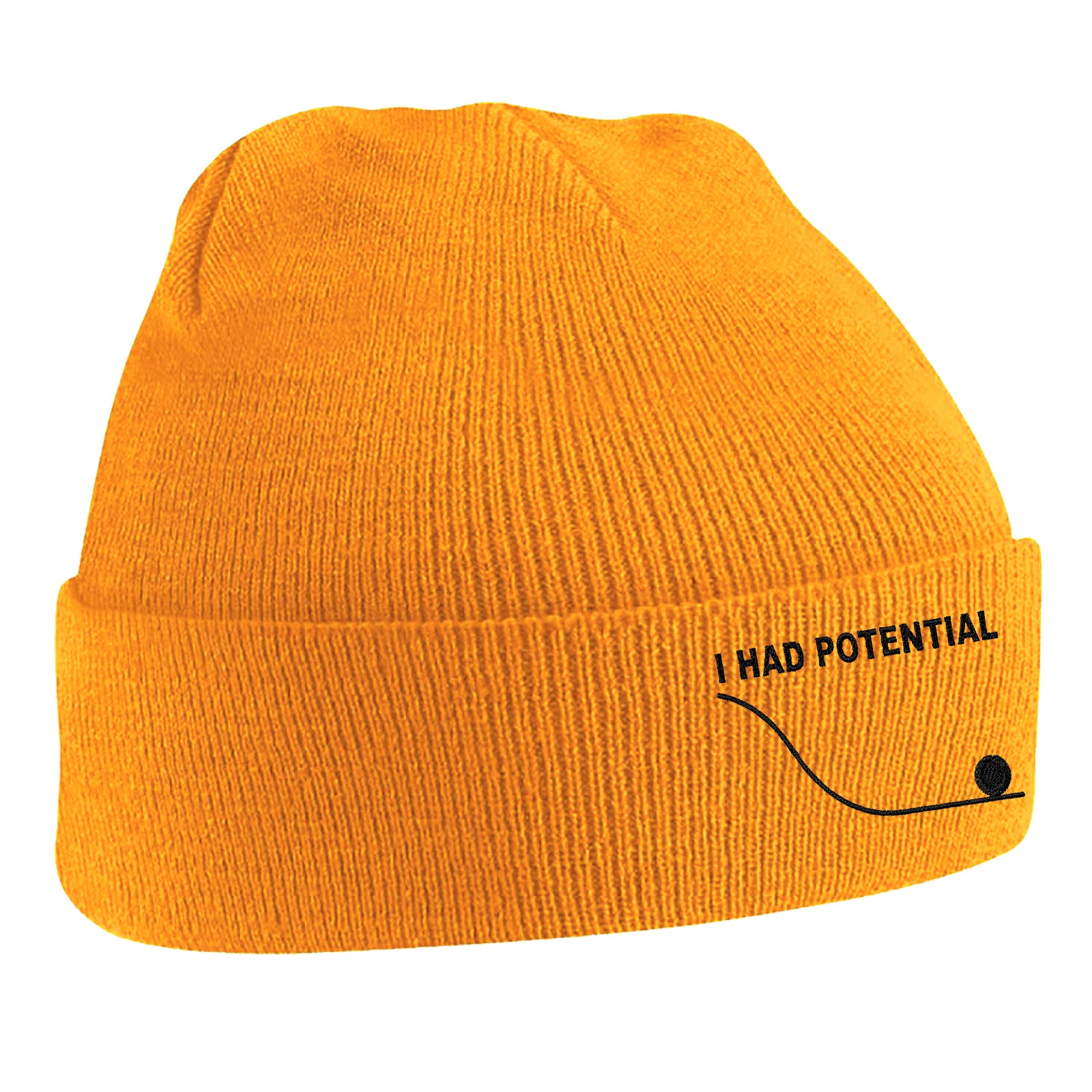 I Had Potential Beanie Hat 