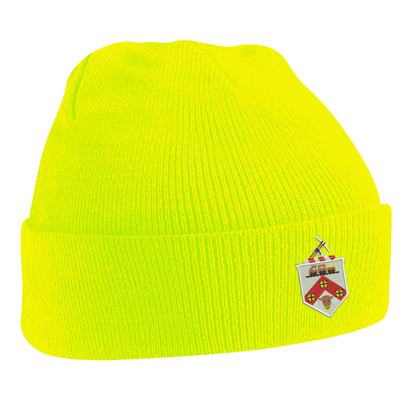 Darlington 1954 Beanie Hat