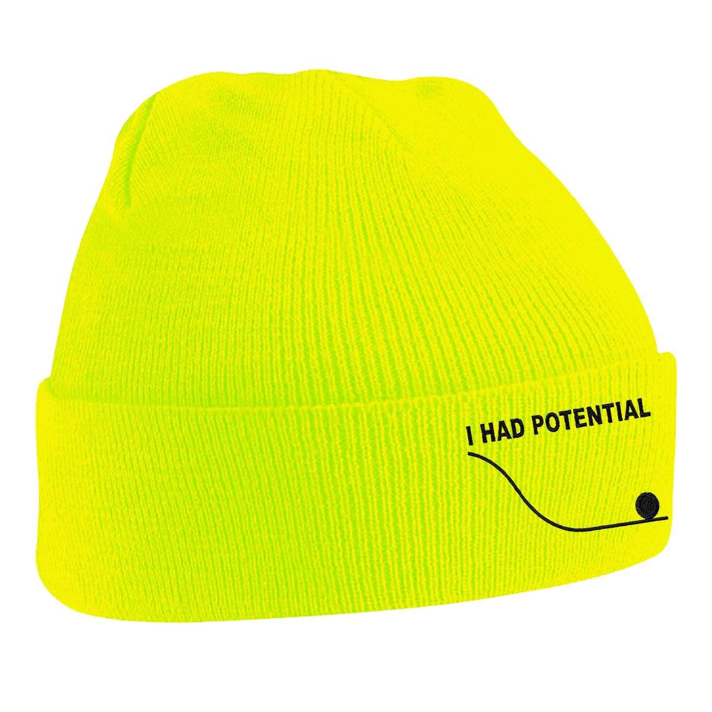 I Had Potential Beanie Hat 