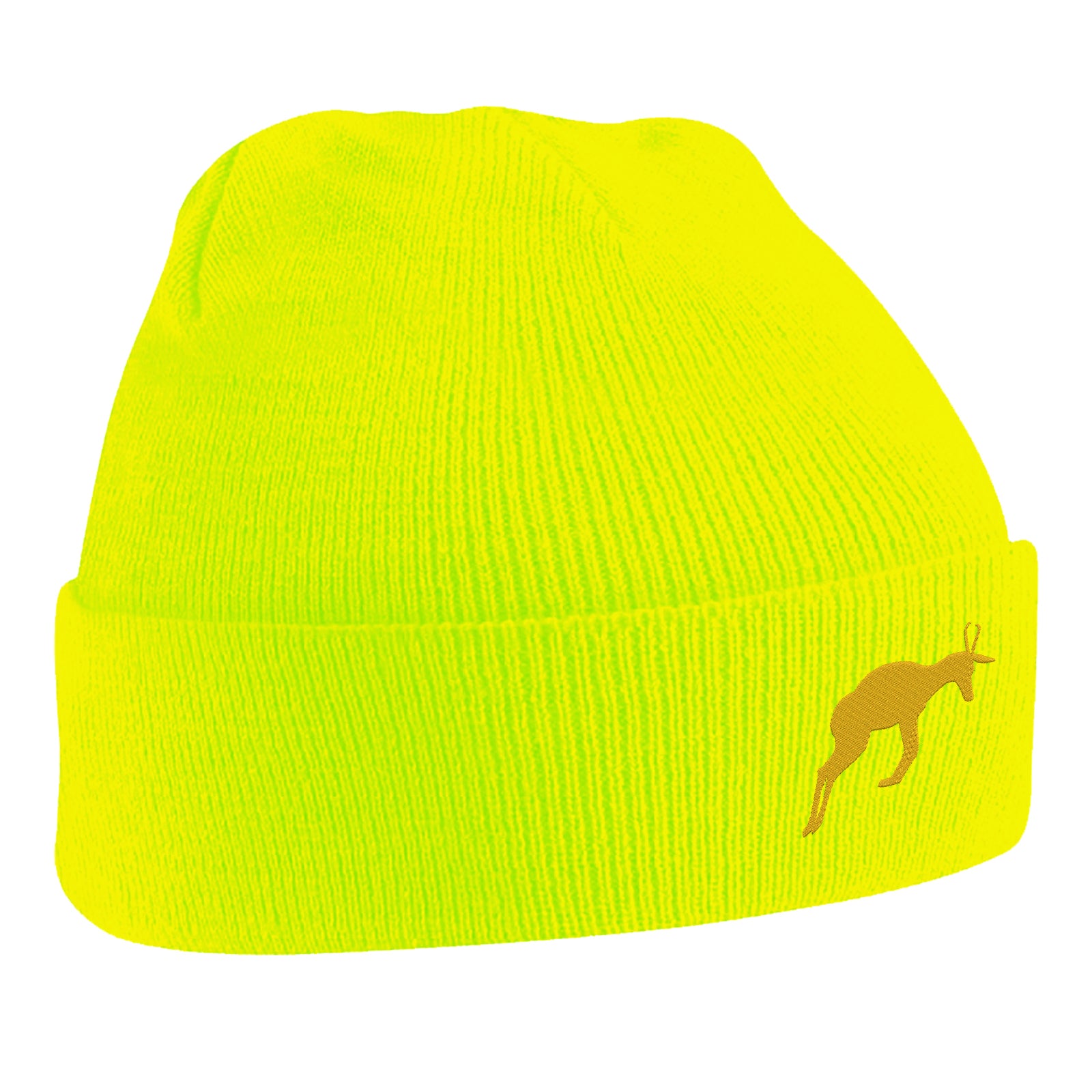 Retro South Africa Rugby 1906 Beanie Hat