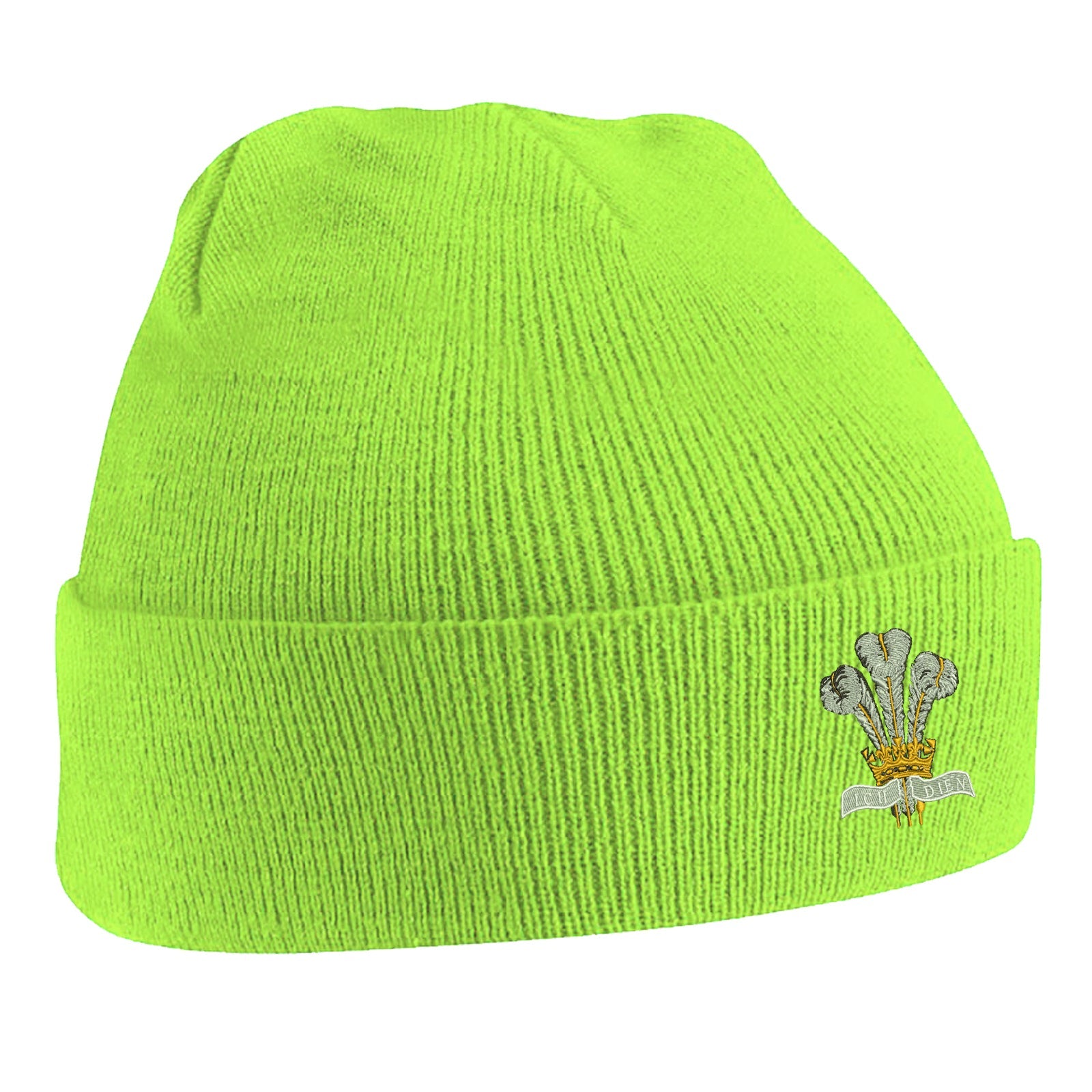 Royal Regiment of Wales Beanie Hat