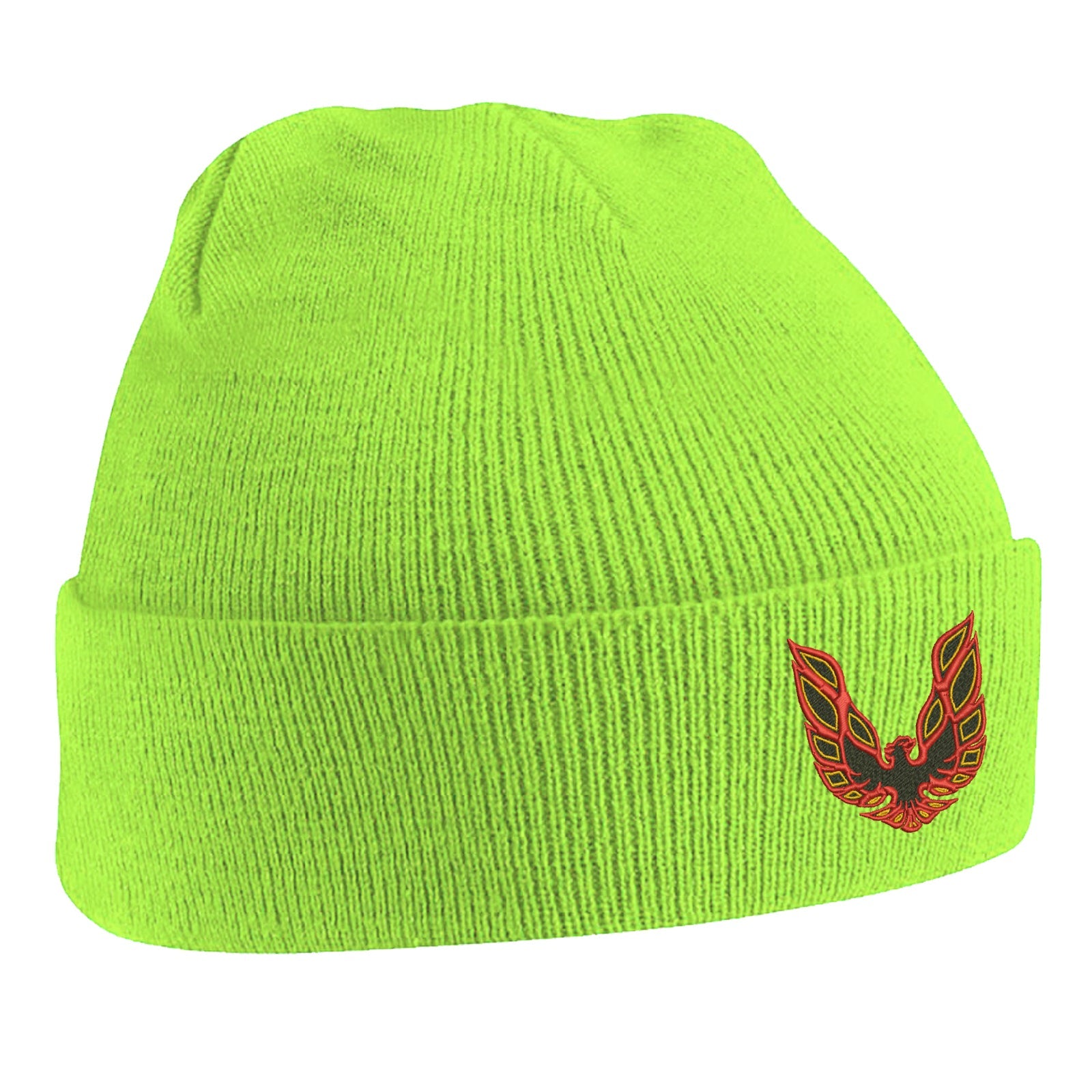 Pontiac Firebird Beanie Hat