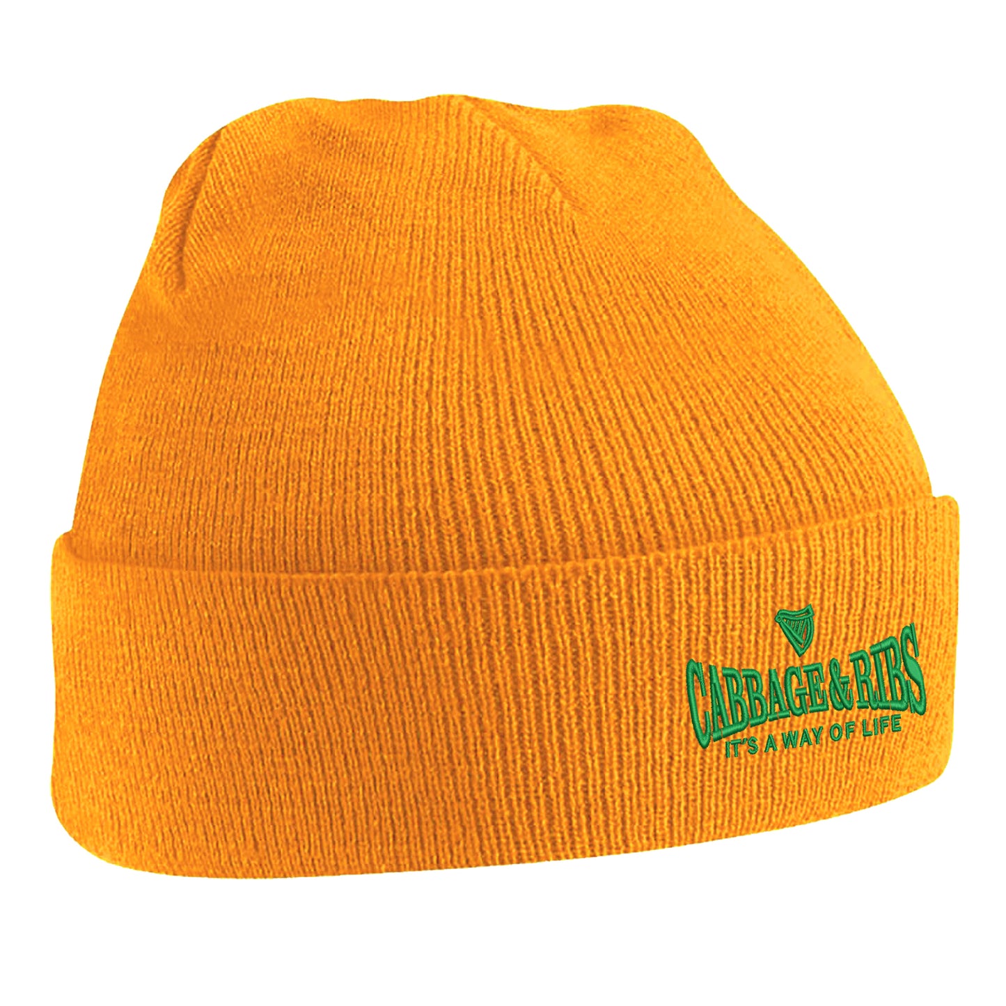 Hibs Beanie Hat