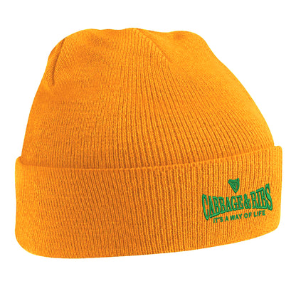 Hibs Beanie Hat