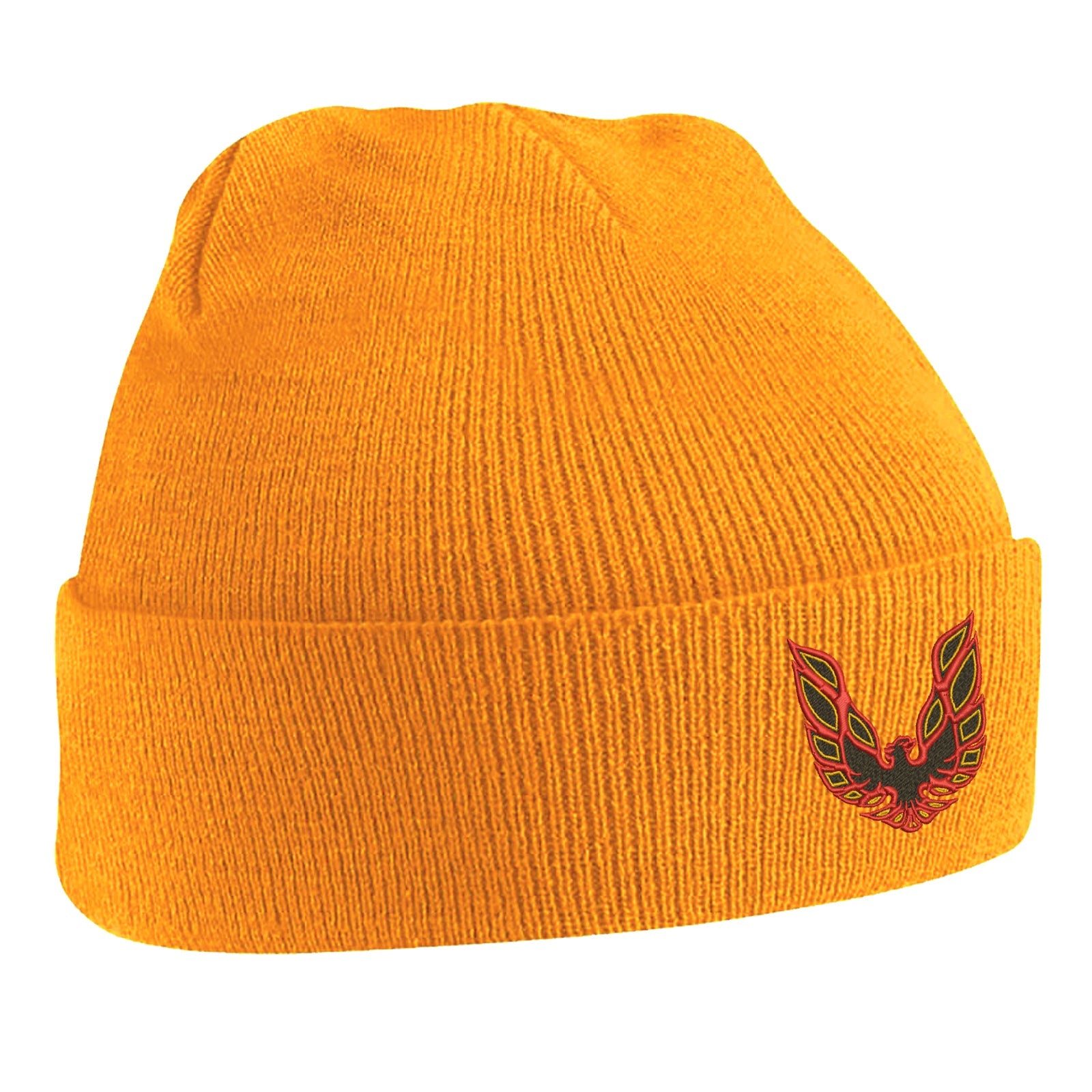 Pontiac Firebird Beanie Hat