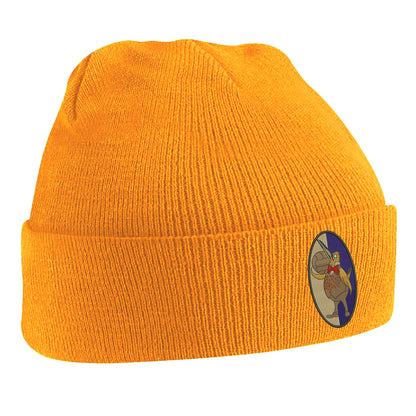 Retro West Brom 1933 Embroidered Beanie Hat