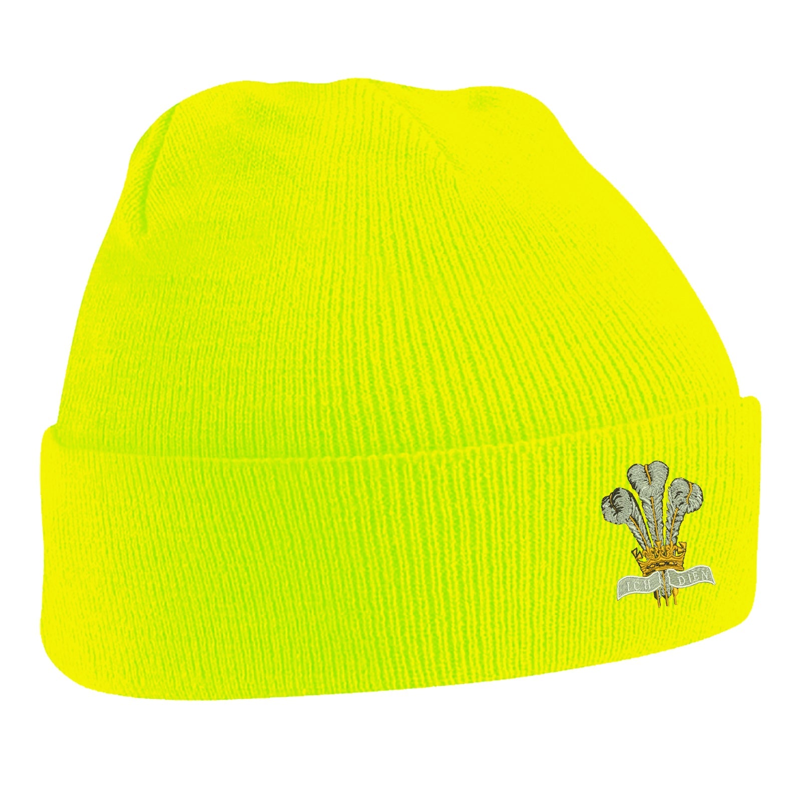 Royal Regiment of Wales Beanie Hat