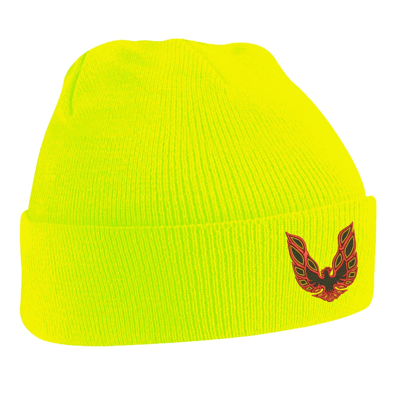 Pontiac Firebird Beanie Hat