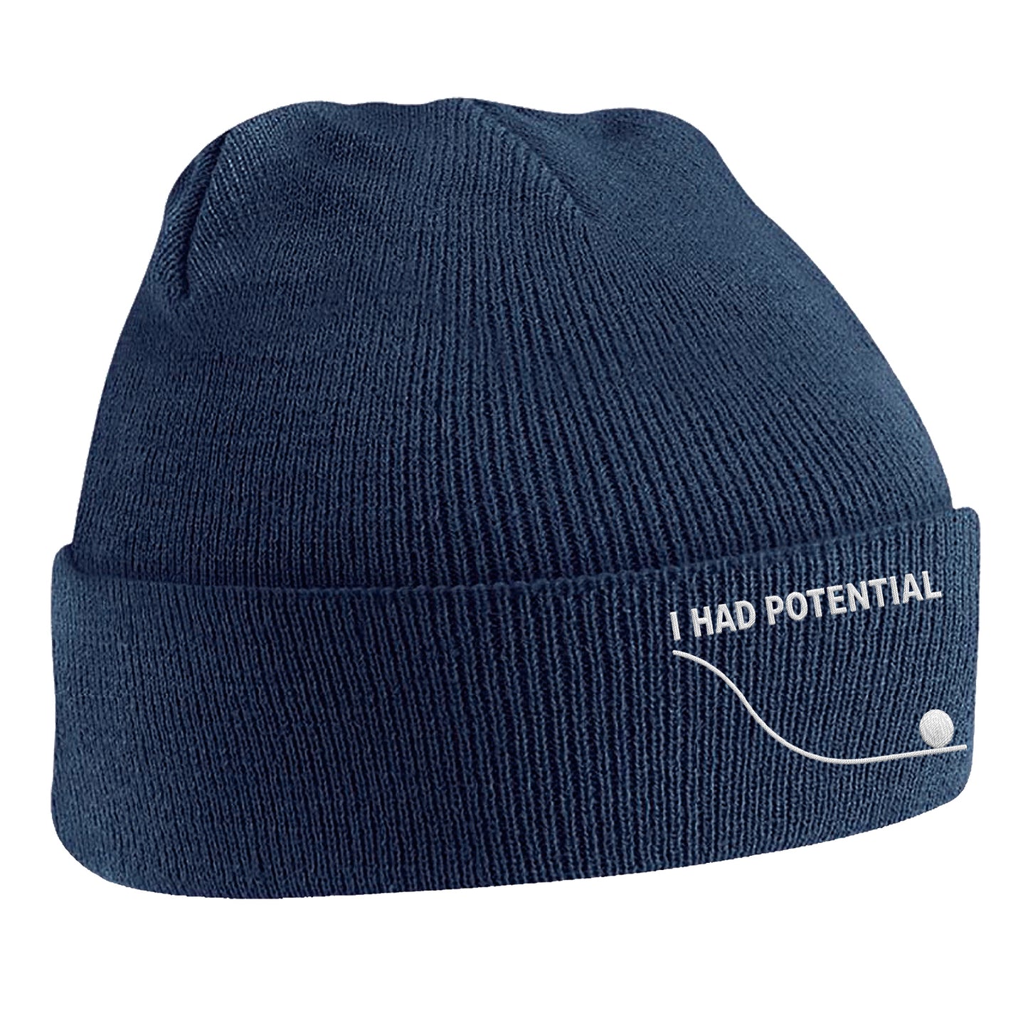 I Had Potential Beanie Hat 
