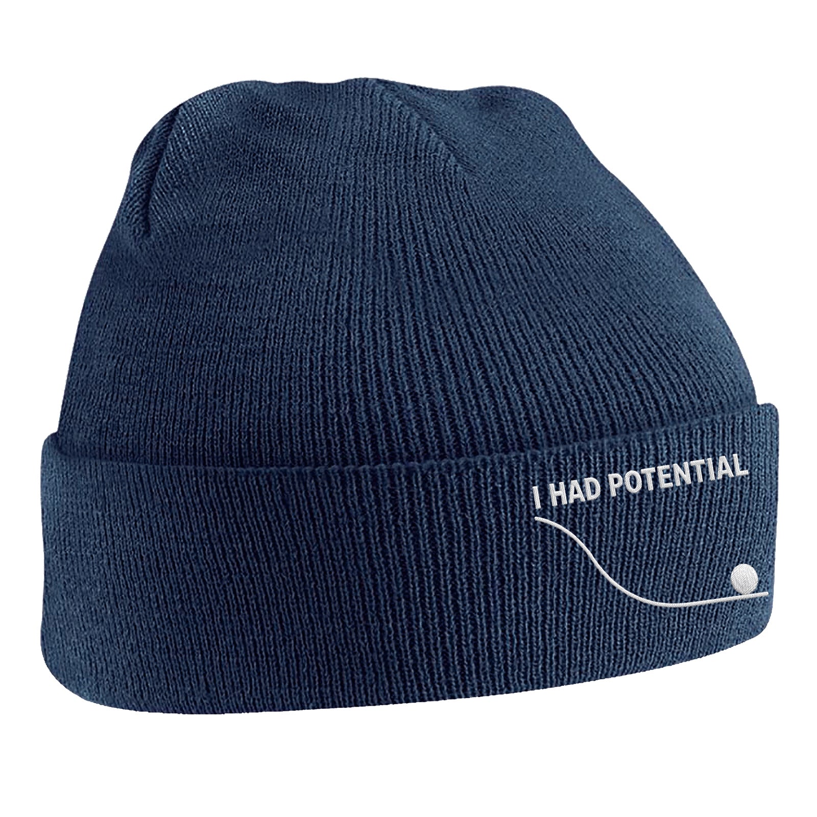 I Had Potential Beanie Hat 