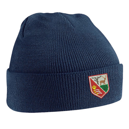 Retro Hayes Beanie Hat