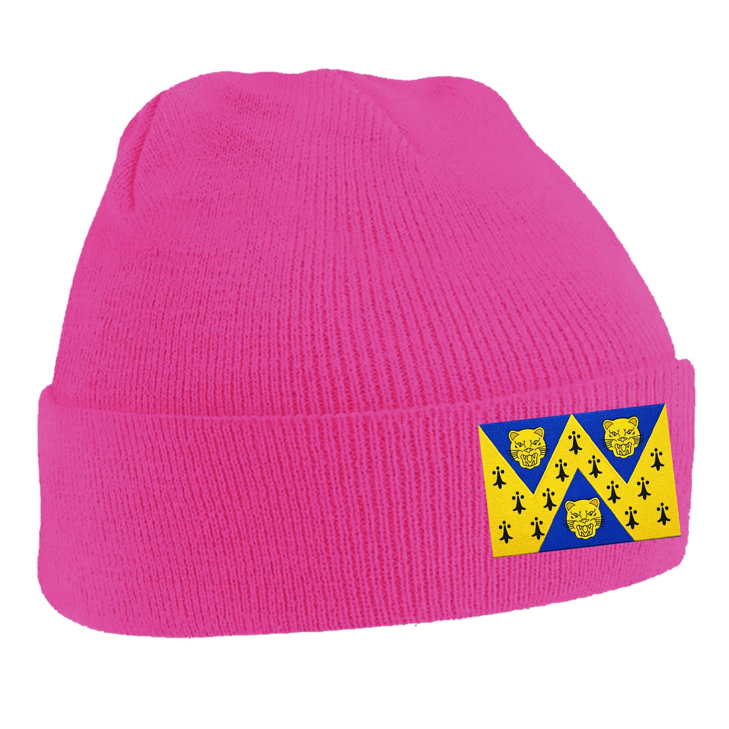 Flag of Shropshire Beanie Hat