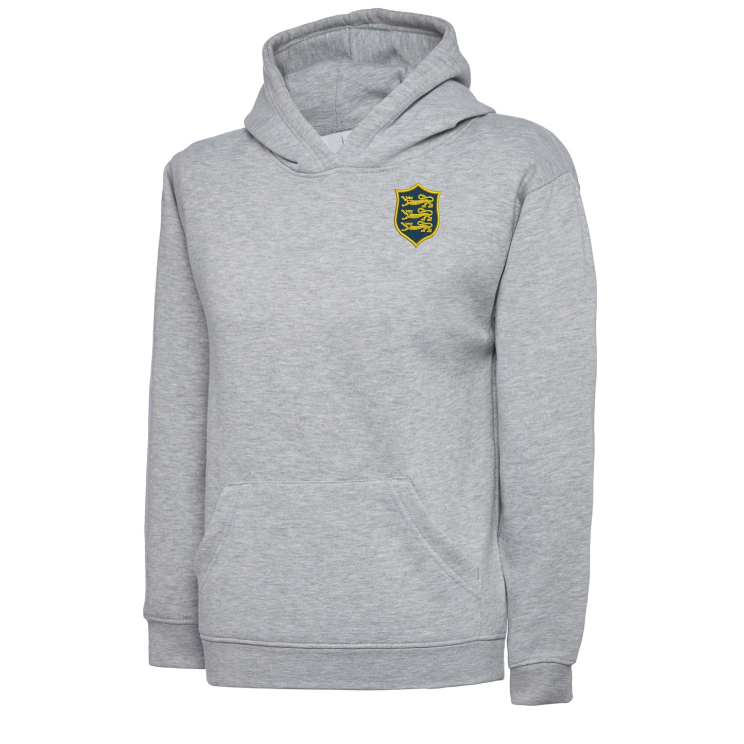 Kids British & Irish Lions Rugby Union Hoodie