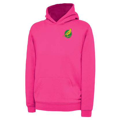 Retro Norwich 1902 Embroidered Children's Hoodie