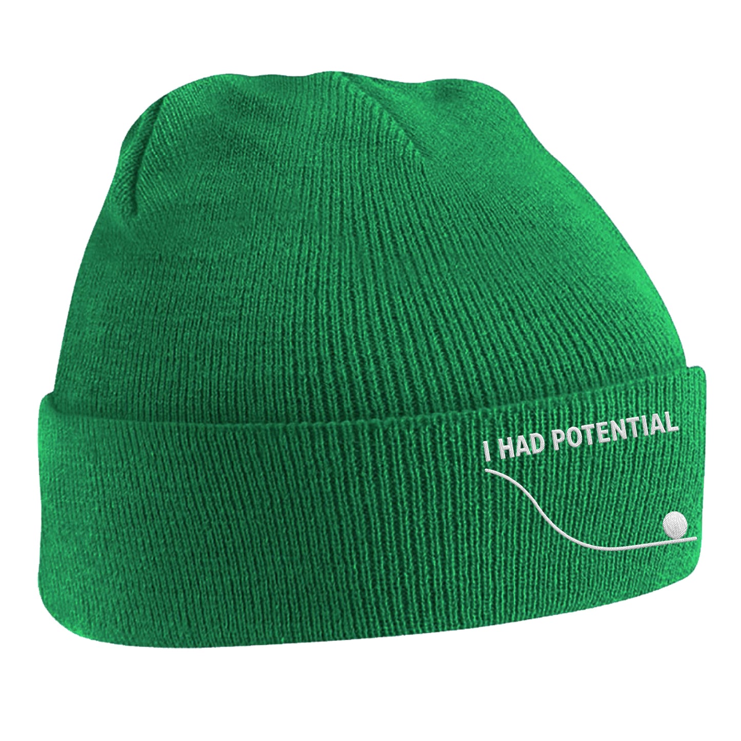 I Had Potential Beanie Hat 