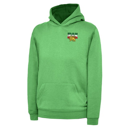 Children's Iran Flag Hoodie
