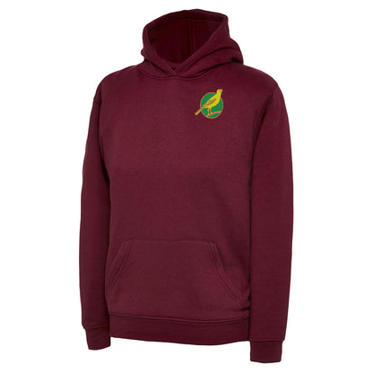 Retro Norwich 1902 Embroidered Children's Hoodie