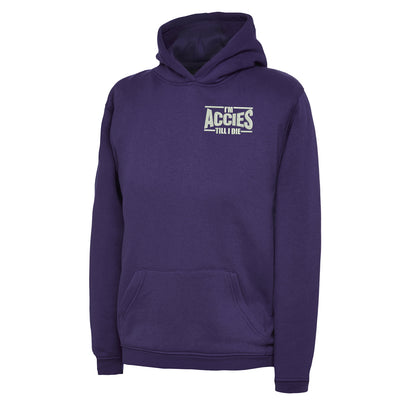 Children's Hamilton Academical Hoodie