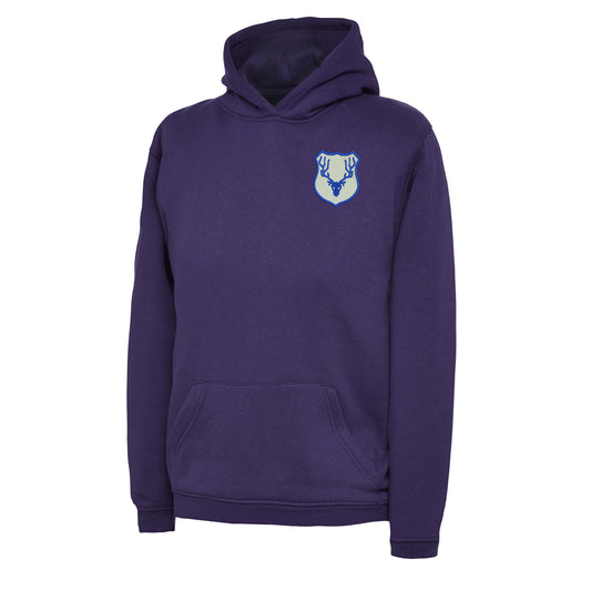 Retro Ross County Embroidered Children's Hoodie