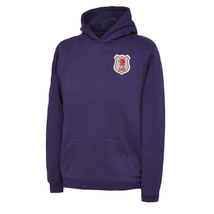 Retro Wales 1926 Embroidered Children's Hoodie