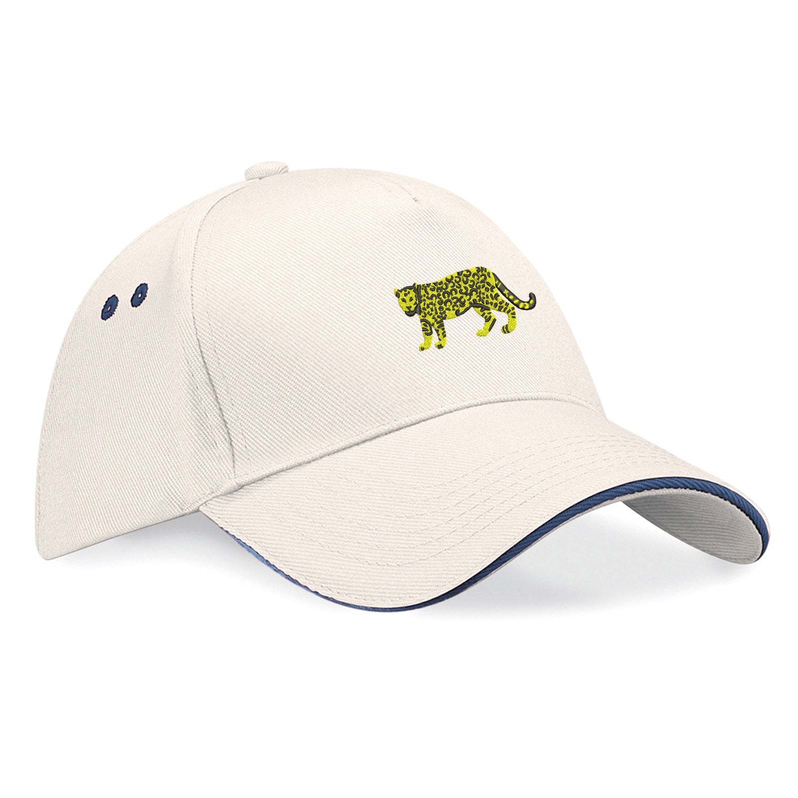 Retro Argentina 1976 Baseball Cap