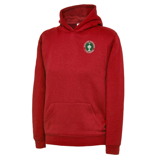 Children's Vintage Wales Football Hoodie 