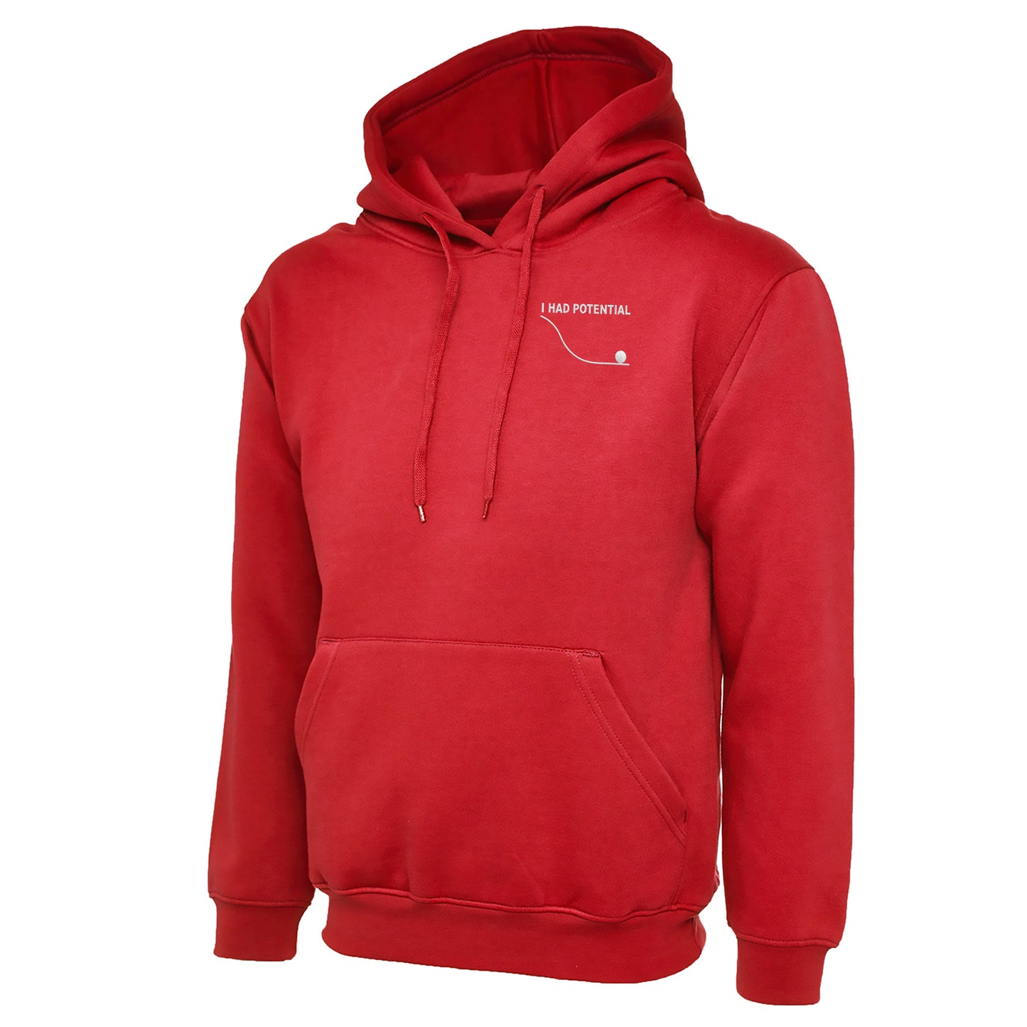 I Had Potential Hoodie