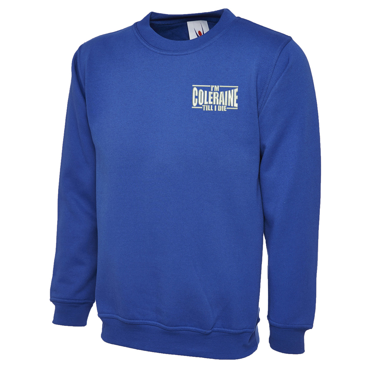 I am Coleraine Embroidered Sweatshirt
