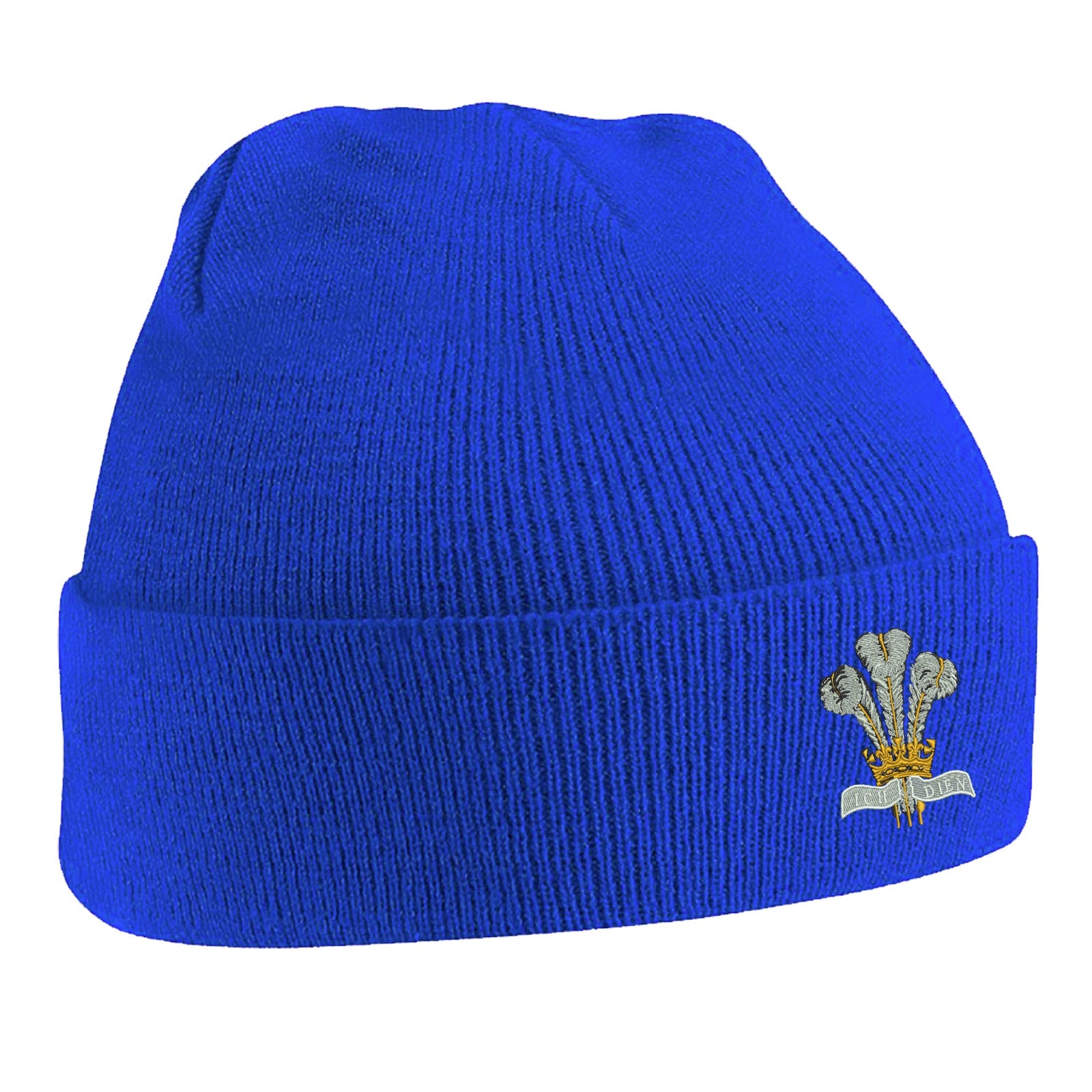 Royal Regiment of Wales Beanie Hat