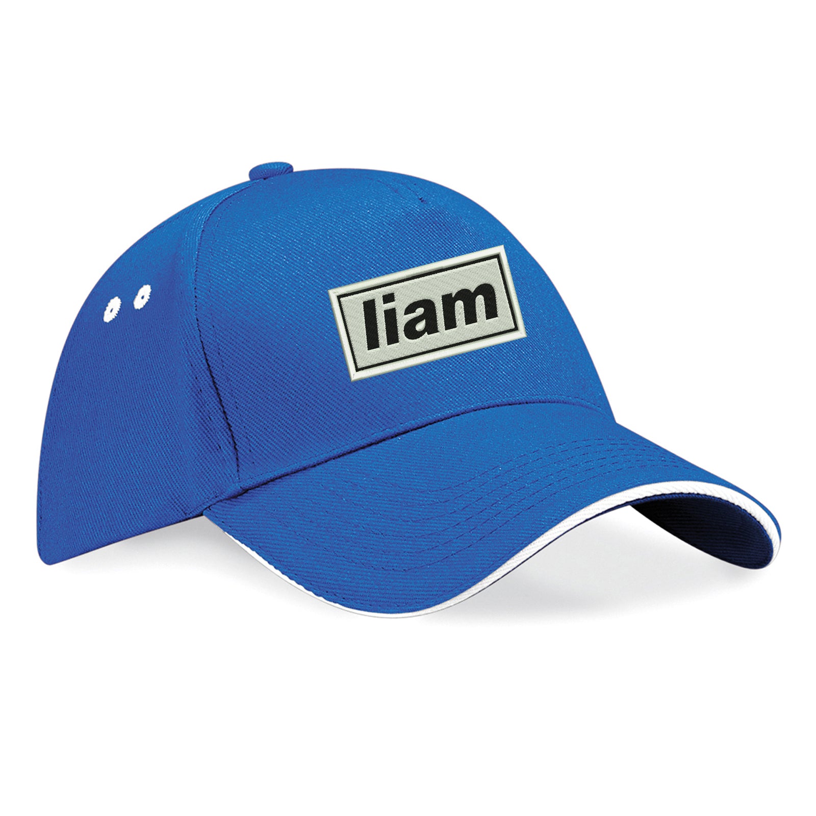 Bonehead Baseball Cap