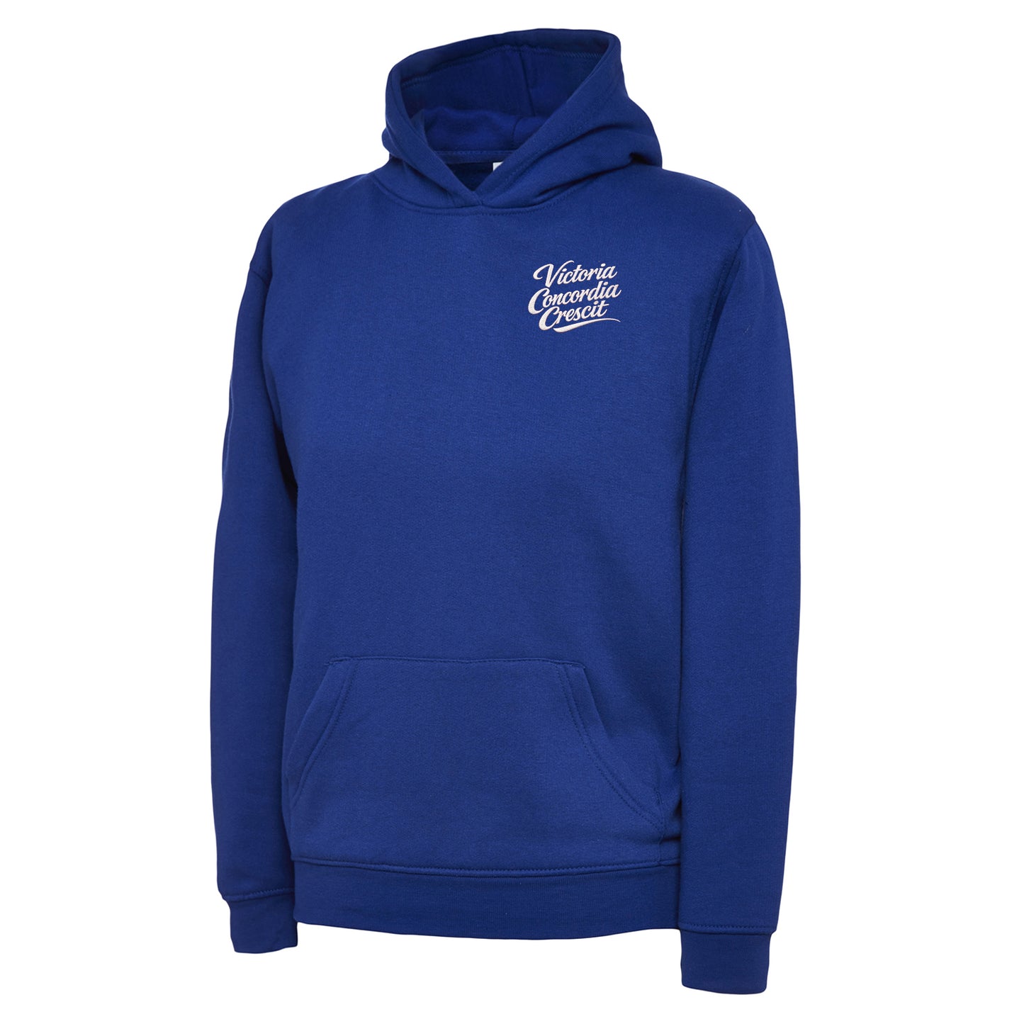 Kids Arsenal Victoria Concordia Crescit Hoodie