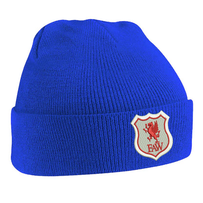 Retro Wales 1926 Beanie Hat